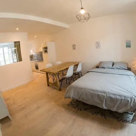 公寓 Au Jardin Des Plantes 第戎